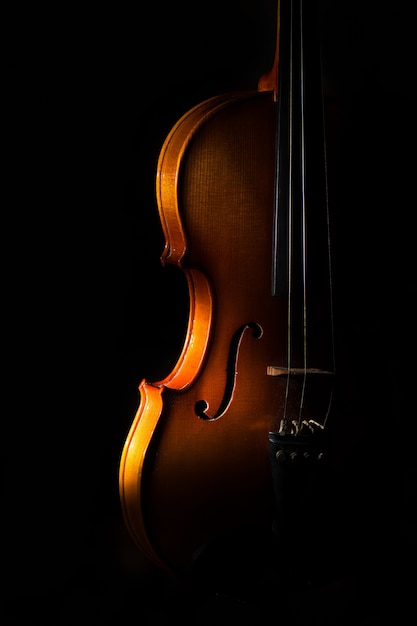 Détail De Violon Sur Un Fond Noir Entre La Lumière Ou Les Ombres Photo Premium