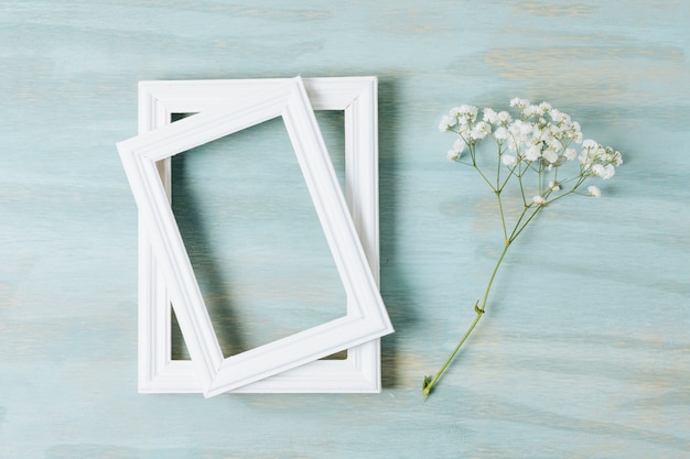 Deux Cadres De Bordure Blanche Avec Une Fleur De Bebe Sur Un Fond En Bois Photo Gratuite