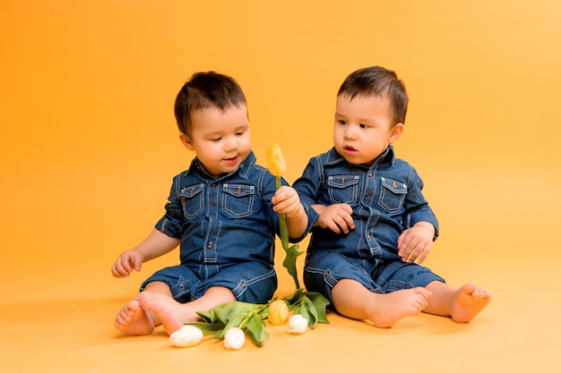 Deux Jumeaux De Bebe Garcon Avec Des Fleurs Sur Jaune Photo Premium