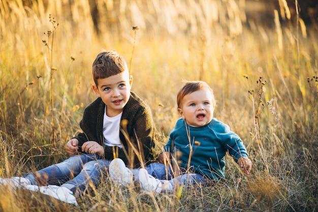 Deux Petits Freres De Bebe Assis Ensemble Dans Le Champ Photo Gratuite