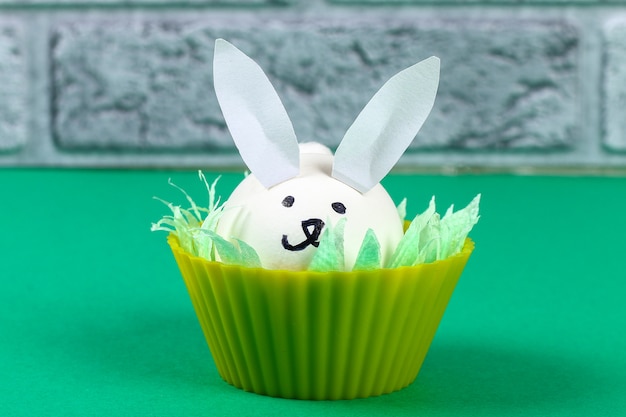 Diy lapin des œufs pour pâques. Photo Premium