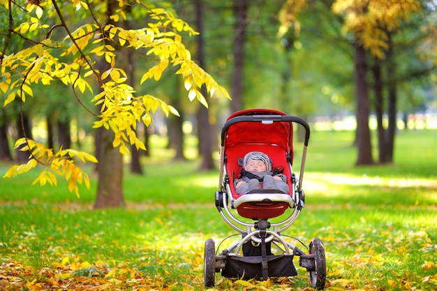 Doux petit bébé garçon dormant dans une poussette en automne parc Photo Premium