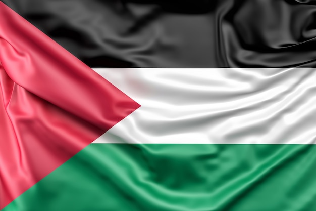 la palestine drapeau
