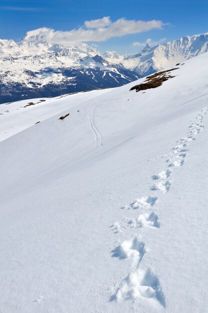 Empreintes De Pas Sur La Neige Avec Vue Sur Le Sommet De La Montagne Photo Premium