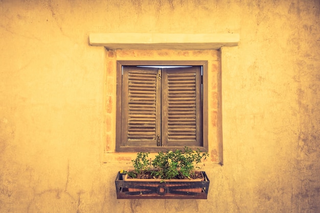 Fenêtre en bois avec un pot de fleurs avec des plantes Photo gratuit