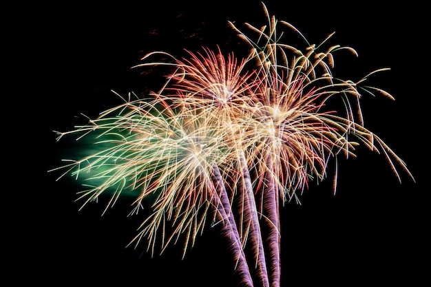 Feu d'artifice coloré contre un ciel nocturne noir. feux d'artifice pour le nouvel an. beau feu d'artifice coloré sur le lac urbain pour la célébration Photo Premium