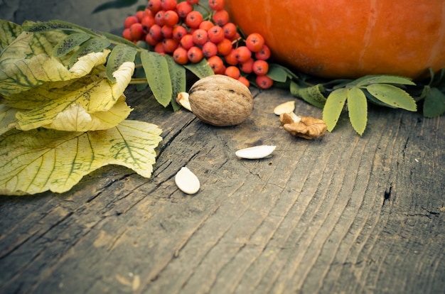 Feuilles d'automne et citrouille Photo Premium