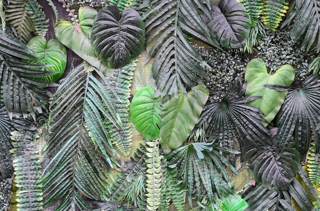 Feuilles vertes tropicales, fougère, palmier et feuille de monstera deliciosa sur le mur Photo Premium