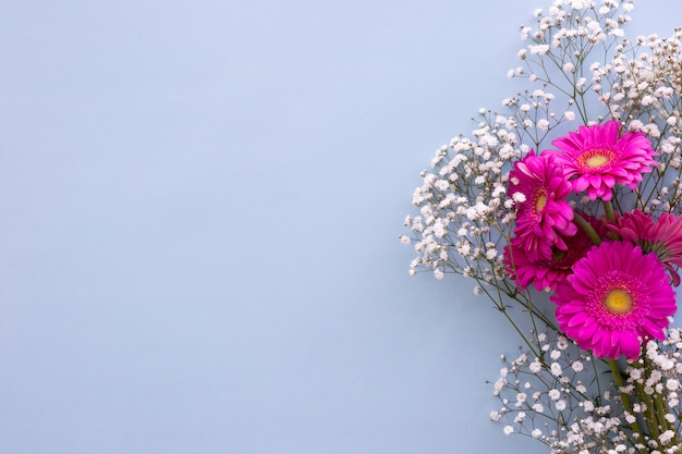 Fleurs De Souffle De Bebe Et Fleurs De Gerbera Rose Sur Fond Bleu Photo Gratuite