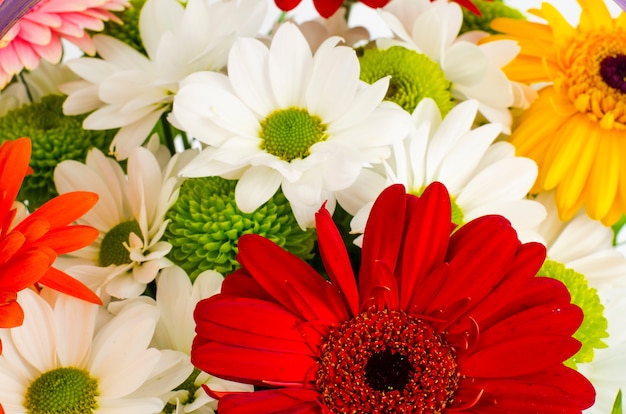 Fond de belles fleurs aux couleurs vives se bouchent. Photo Premium