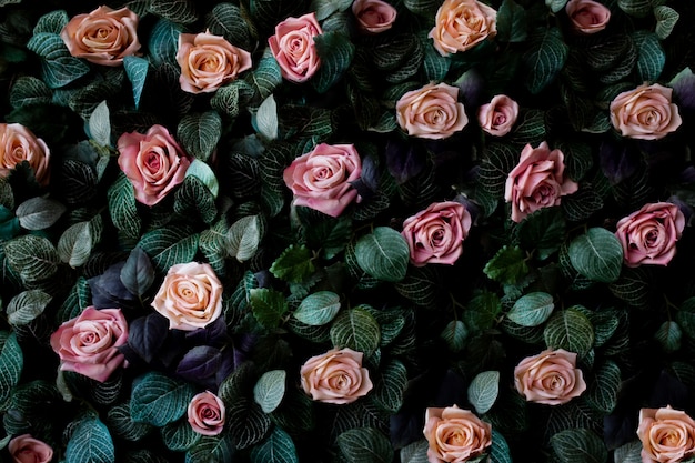 Fond De Mur De Fleurs Avec De Magnifiques Roses Et Coraux