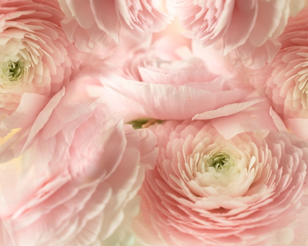 Fond Texture De Fleurs Rose Pale Photo Premium