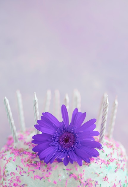 Gateau D Anniversaire Couleur Pastel Avec Fleur Photo Gratuite