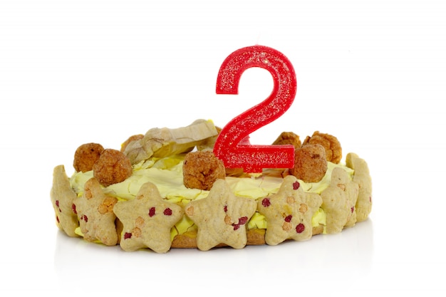 Gateau D Anniversaire Fait Maison De Poulet Pour Chien Avec Une Bougie Numero Deux Isole Photo Premium