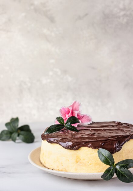 Gateau Au Fromage Souffle Au Coton Japonais Decore De Glacage Au Chocolat Sur Une Plaque En Ceramique Photo Premium