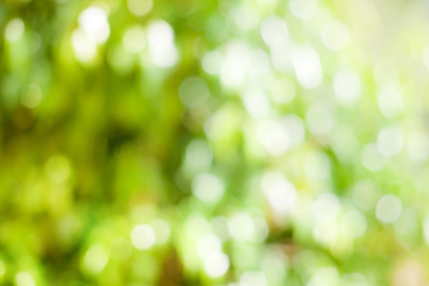 Green texture de mise au point Photo gratuit