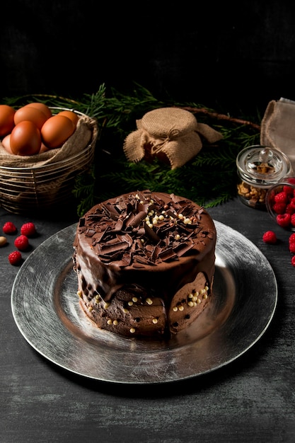 Gros Gateau Au Chocolat Photo Gratuite