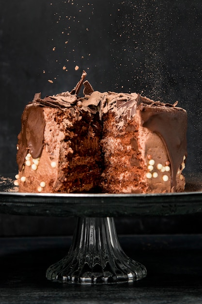 Gros Gateau Au Chocolat Photo Gratuite