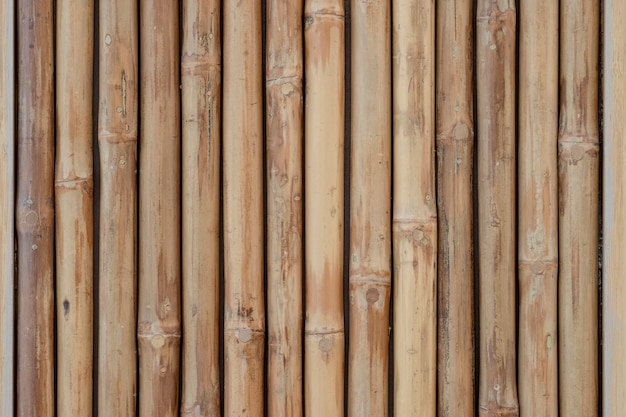 Gros Plan De Bambou  En Bois  Pour Le Fond  Et La Texture 