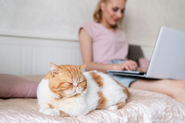 Gros Plan Femme Avec Ordinateur Portable Et Chat Photo Gratuite