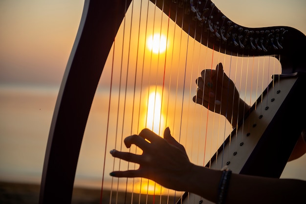 Gros Plan Des Mains De Jeune Fille Joue Sur Une Harpe Celtique Au Bord De La Mer Au Coucher Du Soleil Photo Premium