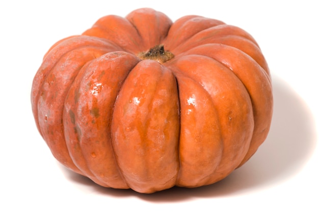 Grosse citrouille orange Photo Premium