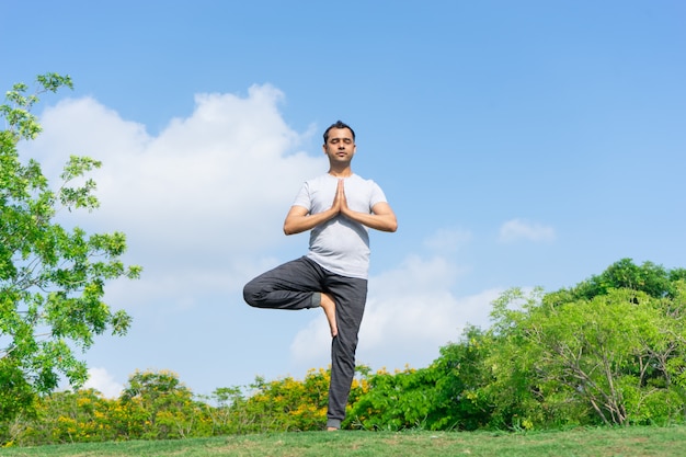 Homme Indien Serein Debout Dans Lyoga Des Arbres Pose Dans Le Parc Avec Des Buissons Verts