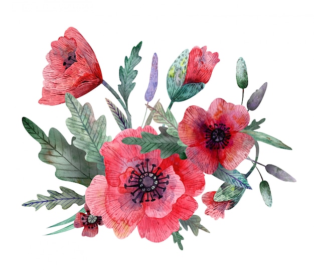 Illustration aquarelle de composition de pavot isolée Photo Premium