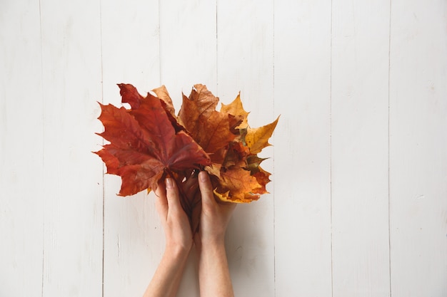 Jeune fille tient une feuille d'érable de couleur rouge tombée sur fond blanc. Photo Premium
