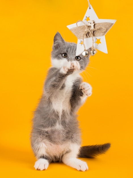 Joli Chaton Gris Jouant Drole Et Amusant Avec Un Jouet De Noel Sur Un Jaune Photo Premium