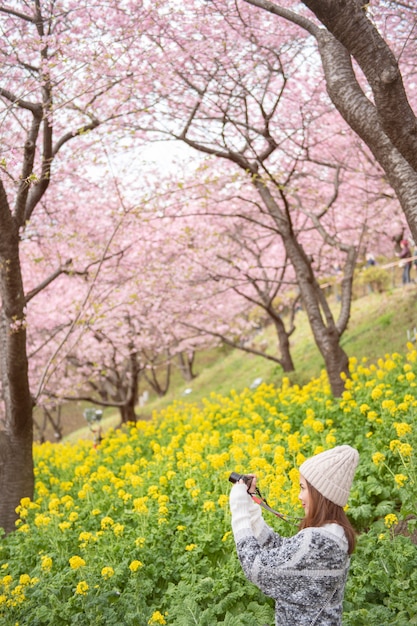 Jolie femme s'amuse avec cherry blossom à matsuda, japon Photo Premium