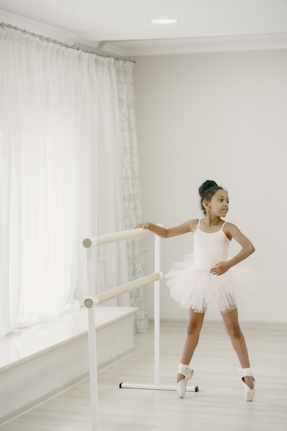 Jolie Petite Ballerine En Costume De Ballet Rose. Enfant Une Pointe Danse Dans La Enfant En Cours De Danse. | Photo Gratuite