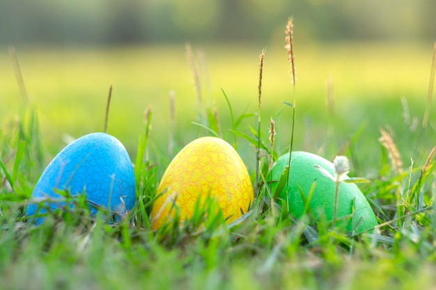 Joyeuses Pâques Avec Un Joli Lapin Doeufs Colorés Le Matin