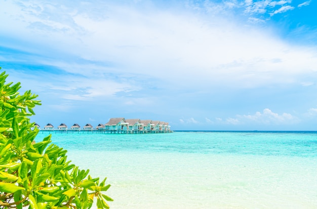 Magnifique Complexe Tropical Des Maldives Et Le Avec Plage Et Mer Photo Premium