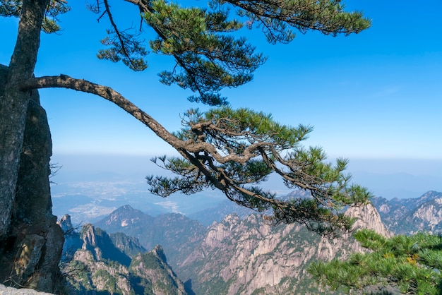 Le Magnifique Paysage Naturel De La Montagne Huangshan En Chine Photo Premium