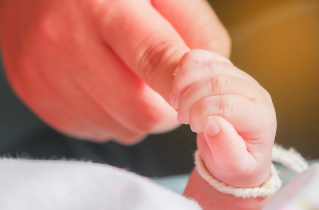 Main De Bebe Dans La Main De Maman Photo Premium