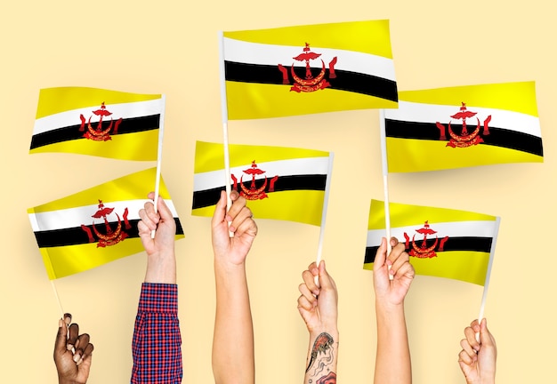 Mains agitant des drapeaux du brunei Photo gratuit