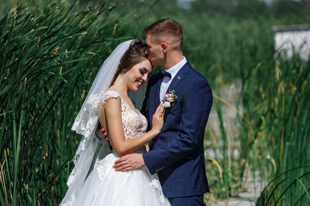 Les Mariées Souriantes étreignent Doucement Et S'embrassent à L'extérieur. Jeune Couple Amoureux Enjoing Rach Autre Sur La Promenade Dans La Nature. Mariée Et Le Marié Heureux Se Promène Dans Les Hautes Herbes à L'extérieur. Photo Premium