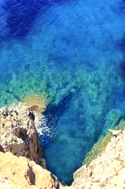 Méditerranée barbaria cap formentera Photo Premium