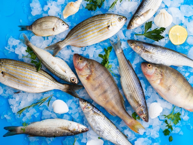 Mélange vue de dessus de poissons frais sur des glaçons Photo gratuit