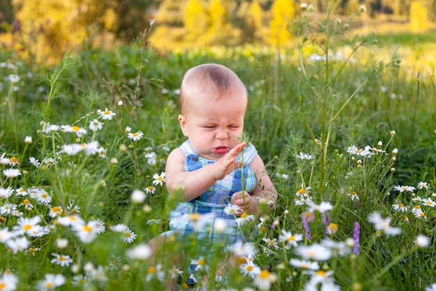 Mignon Petit Bebe Drole Enfant Assis Dans Le Champ De Camomille Herbe Verte Faisant La Grimace Parce Que L Allergie Horizontal Copiez L Espace Fond D Ete Photo Premium