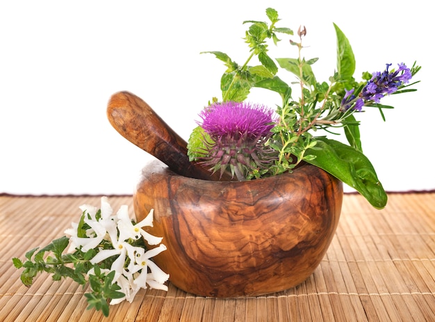 Mortier et plantes Photo Premium