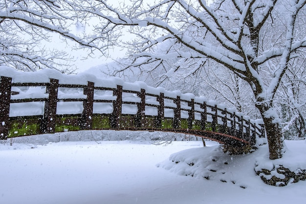 La Neige Qui Tombe Dans Le Parc Et Un Pont Pietonnier En Hiver Paysage D Hiver Photo Gratuite