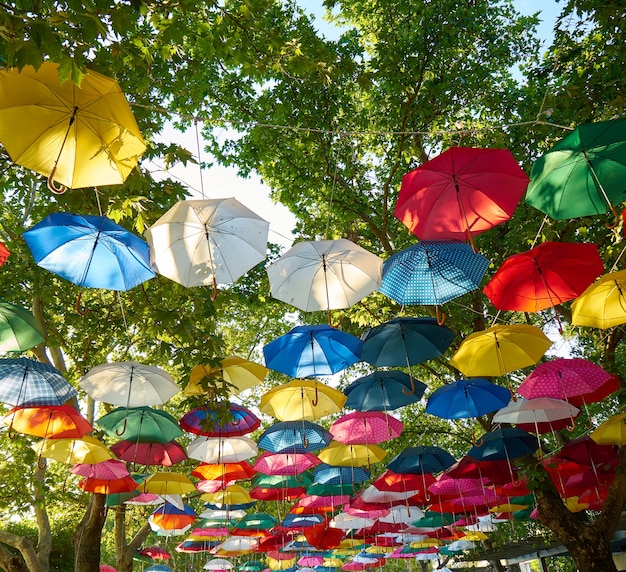 Parapluie Coloré Accroché Des Arbres | Photo Gratuite