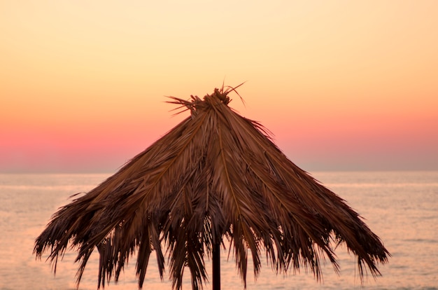 Parasol De Grandes Feuilles Contre Le Coucher De Soleil