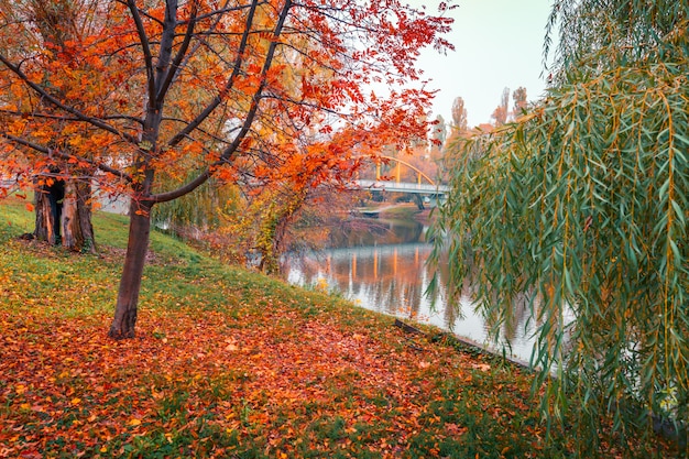 Parc D automne Color  Arbres  D automne Avec Des Feuilles 