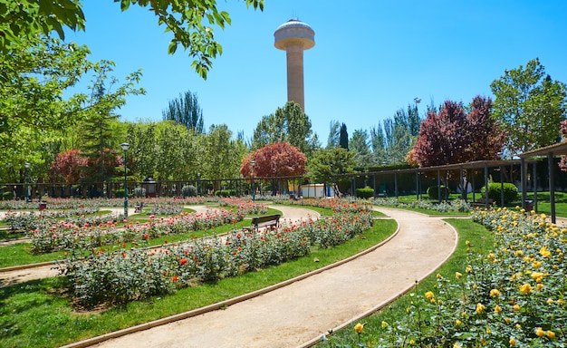 Parc Fiesta Del Arbol A Albacete En Espagne Photo Premium