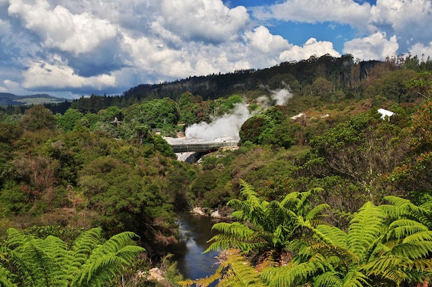Parc thermal de rotorua, nouvelle-zélande Photo Premium