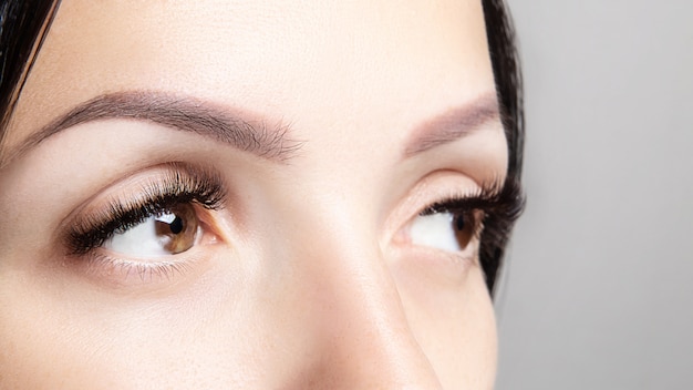 Partie du visage de la femme avec de longs cils bruns et un microblading. portrait de beauté féminine. extensions de cils, soins des sourcils, concept beauté et spa Photo Premium