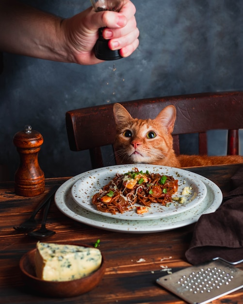 Pates De Sarrasin A Grains Entiers Avec Basilic Ail Et Brie Les Hommes Tiennent Un Poivrier Chat Rouge S Asseoir Sur Une Chaise Brune Devant Une Table De Cuisine En Bois Photo